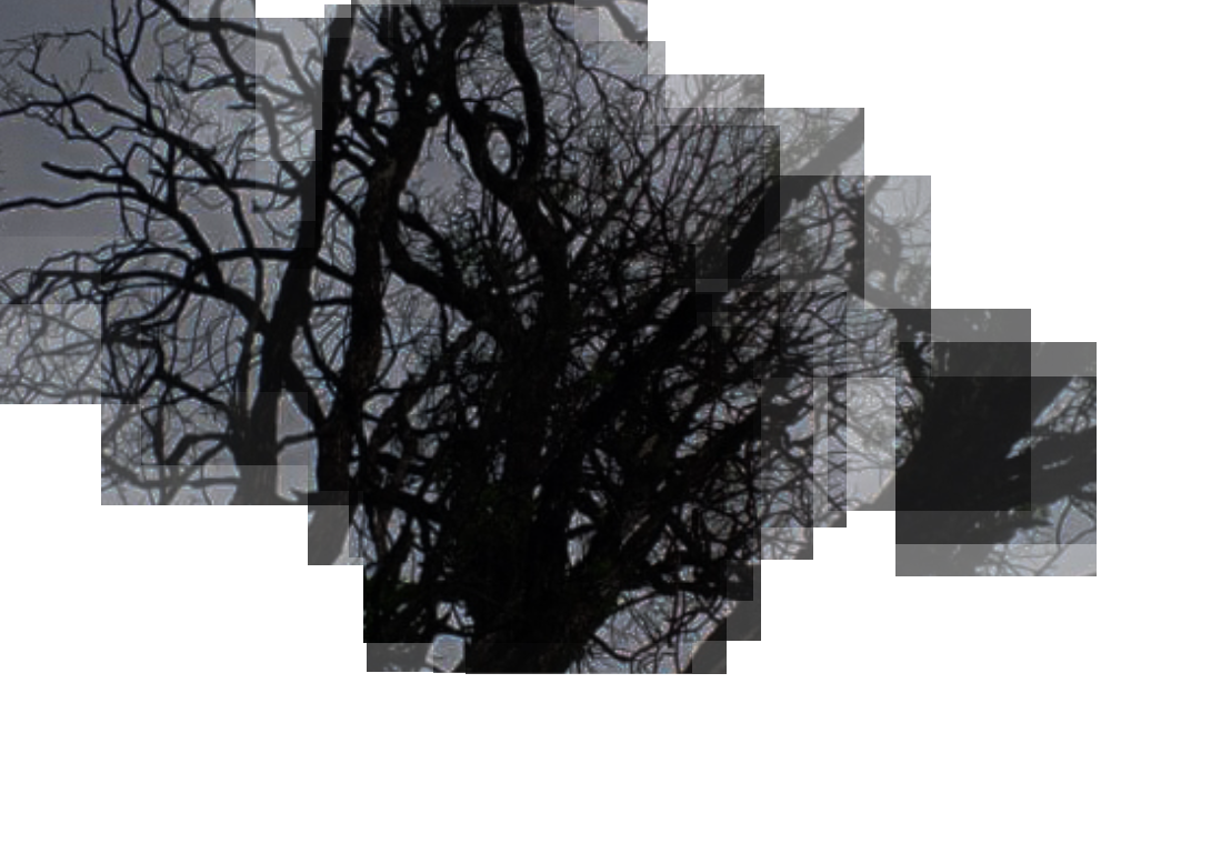 Snippet of the page
